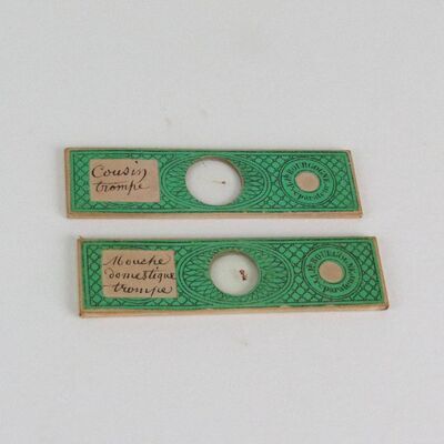 Voorwerpen adlib\10000\V14854-a.jpg; V14854; ;